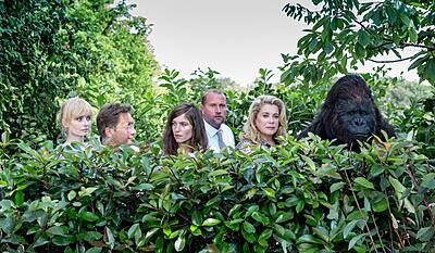 Det spritnye testamente