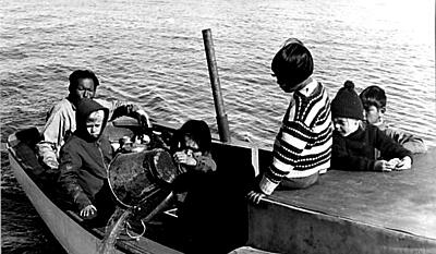 Rikke på Grønland 3 : Sommer og udflugter