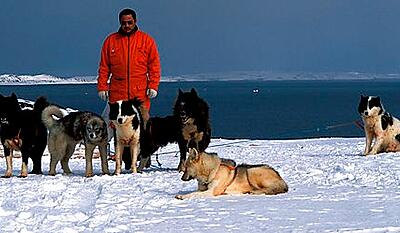 Jeg husker - : fortællinger fra Grønland