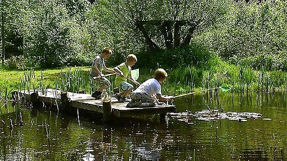 layout image (to proper size of the container)