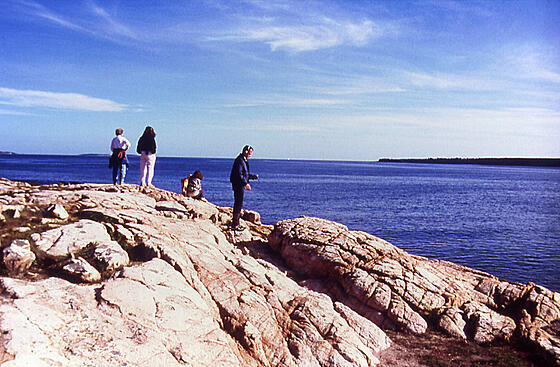 forhåndsvisning af film