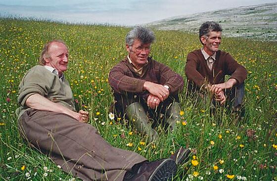 layout image (to proper size of the container)