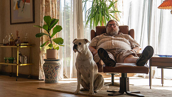 forhåndsvisning af film