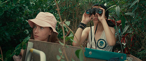 forhåndsvisning af film