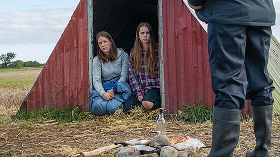 forhåndsvisning af film