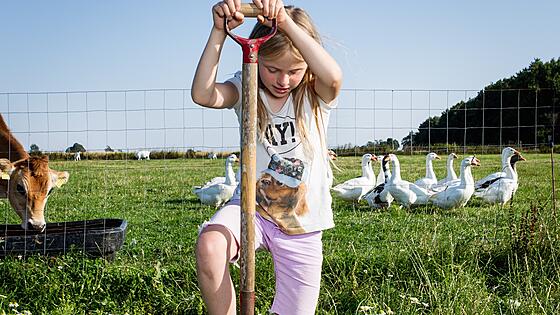 layout image (to proper size of the container)