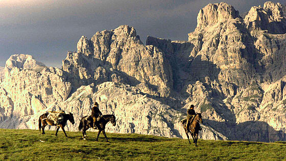 forhåndsvisning af film