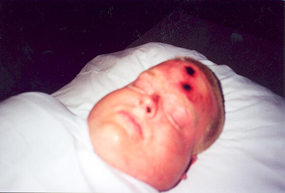 forhåndsvisning af film