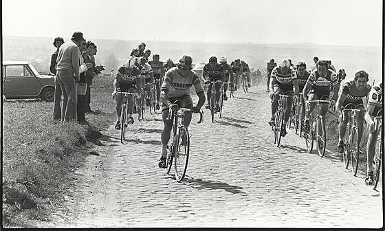 forhåndsvisning af film