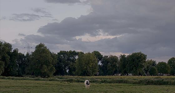 forhåndsvisning af film