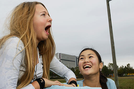 forhåndsvisning af film