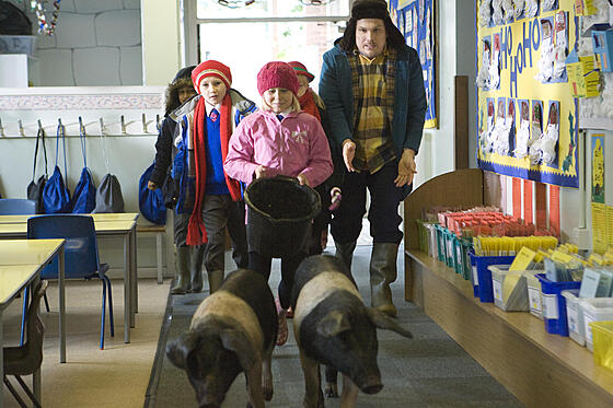 layout image (to proper size of the container)