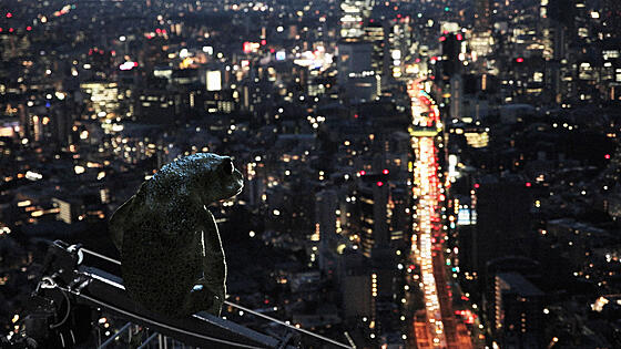 layout image (to proper size of the container)