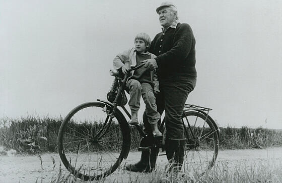 layout image (to proper size of the container)