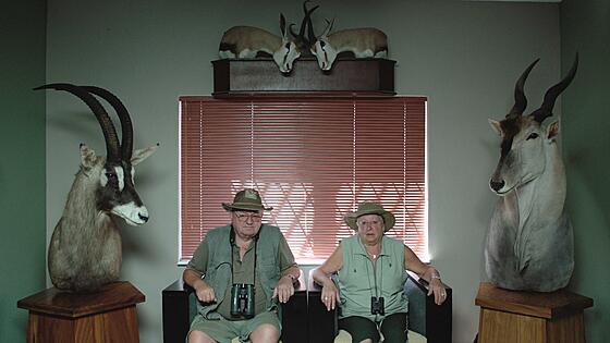 forhåndsvisning af film