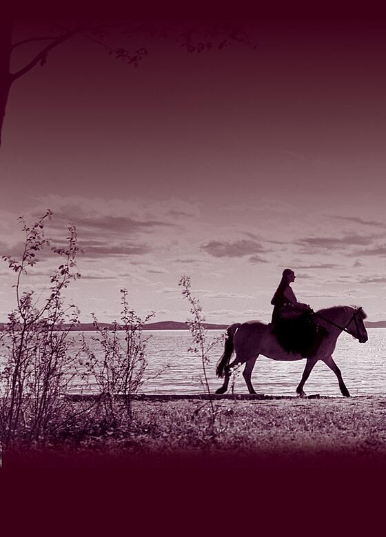 forhåndsvisning af film