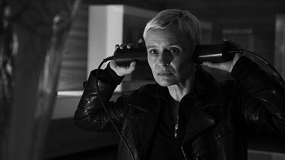 layout image (to proper size of the container)