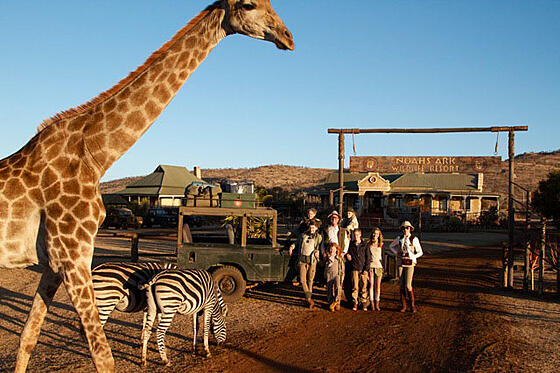 forhåndsvisning af film