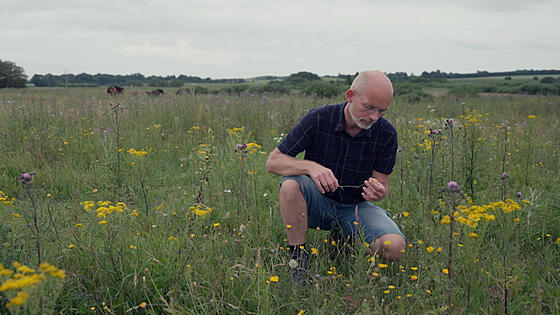 layout image (to proper size of the container)