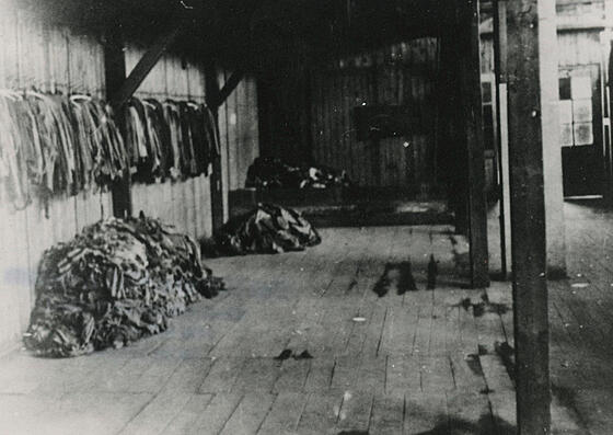 forhåndsvisning af film