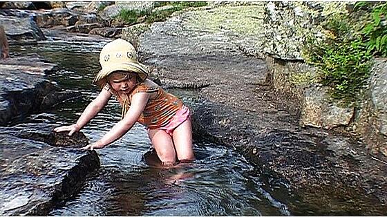 layout image (to proper size of the container)