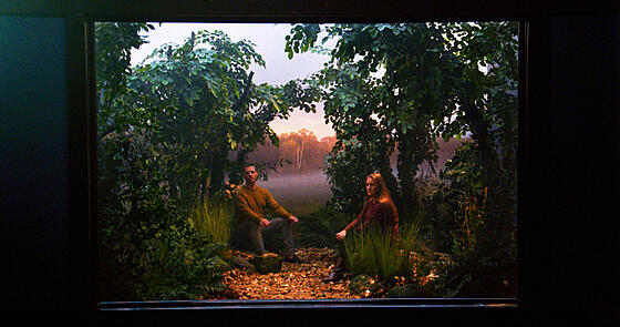 forhåndsvisning af film