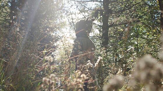 layout image (to proper size of the container)