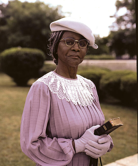 forhåndsvisning af film