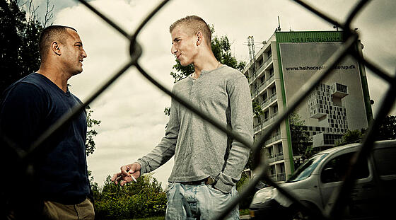 layout image (to proper size of the container)