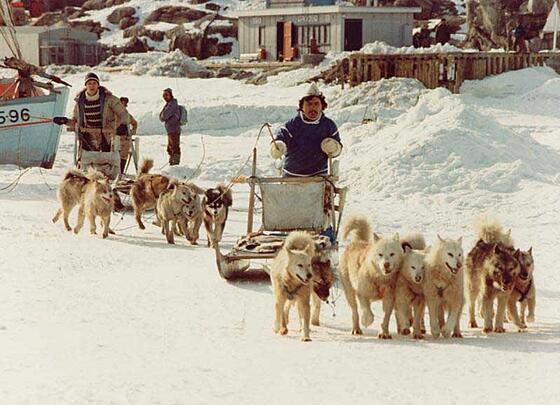 forhåndsvisning af film