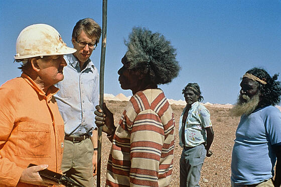 forhåndsvisning af film