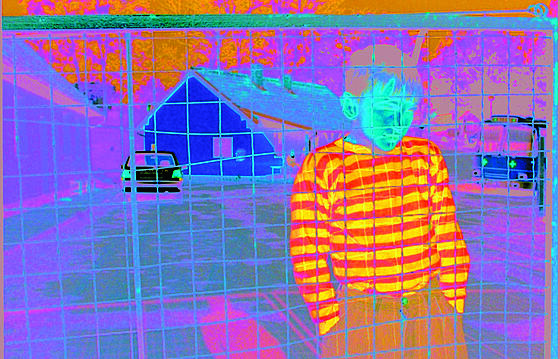 layout image (to proper size of the container)