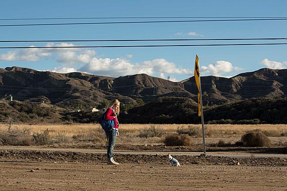 forhåndsvisning af film