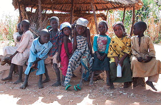 forhåndsvisning af film