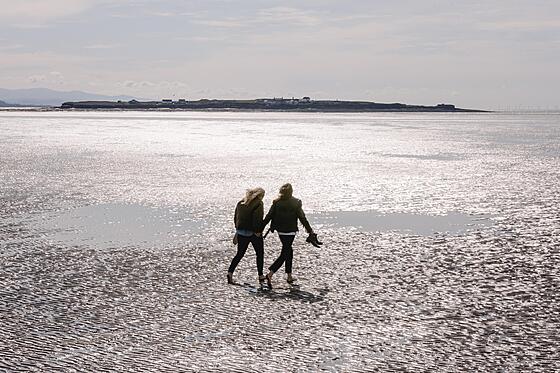 forhåndsvisning af film