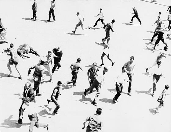 layout image (to proper size of the container)