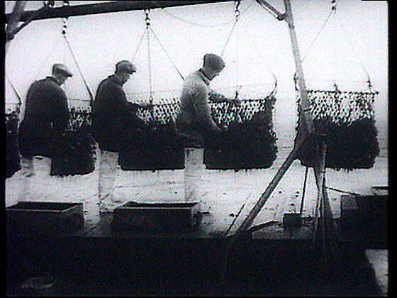 layout image (to proper size of the container)