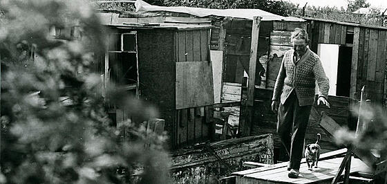 forhåndsvisning af film