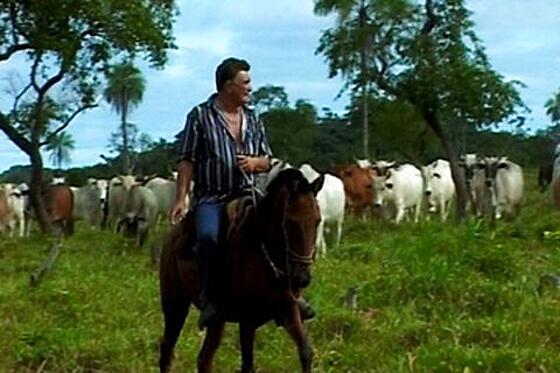 layout image (to proper size of the container)