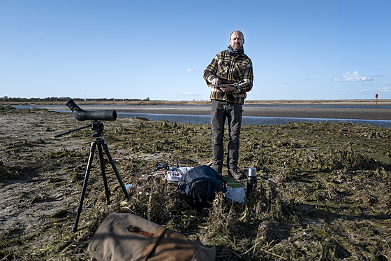 forhåndsvisning af film