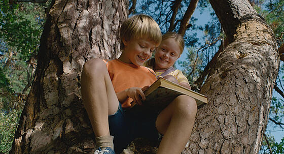 forhåndsvisning af film