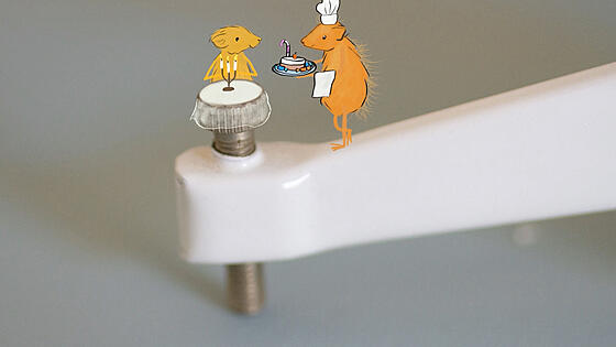 forhåndsvisning af film