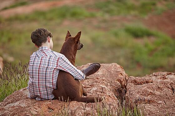 forhåndsvisning af film