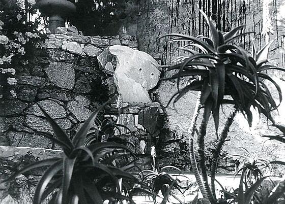 layout image (to proper size of the container)