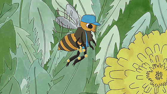 forhåndsvisning af film