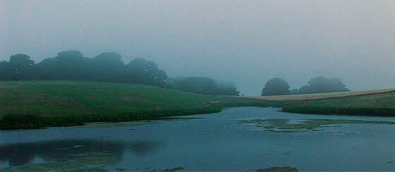 forhåndsvisning af film