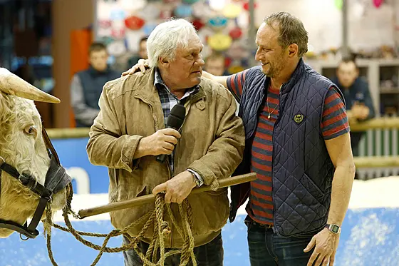 layout image (to proper size of the container)