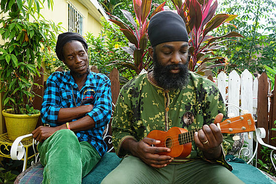 forhåndsvisning af film