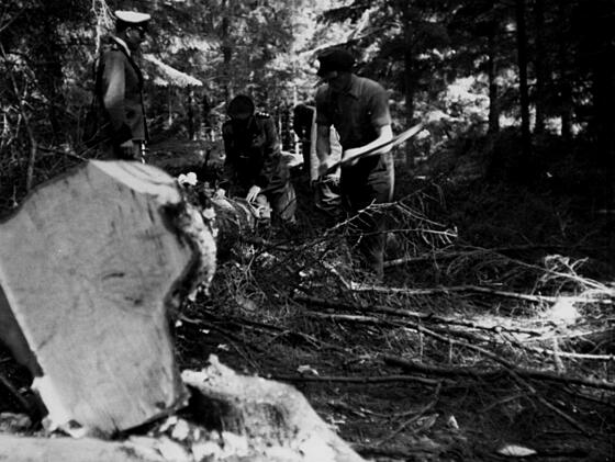 forhåndsvisning af film