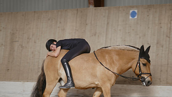 layout image (to proper size of the container)